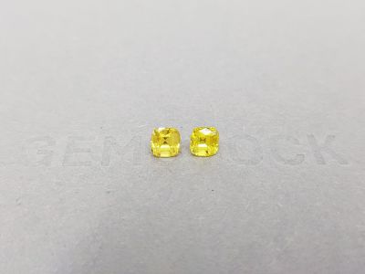 Pair of intense yellow sapphires, untreated, 1.30 ct photo