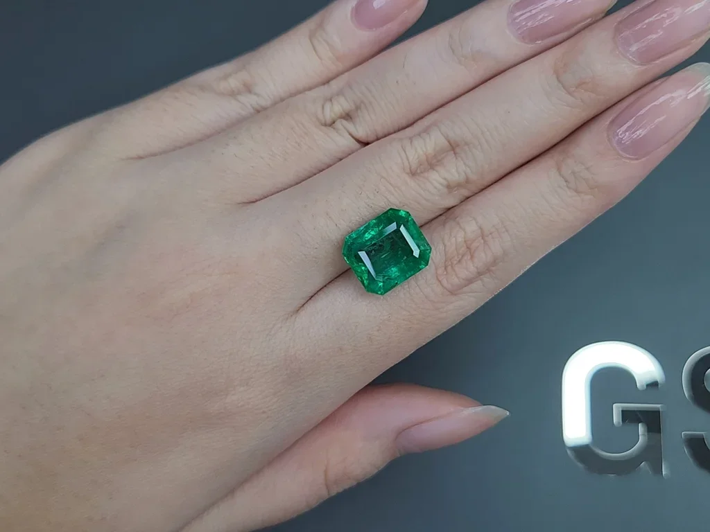Intense green emerald in octagon cut 7.94 carats, Zambia  Image №2