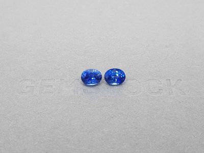 Pair of oval cut Cornflower sapphires 1.97 ct, Sri Lanka photo