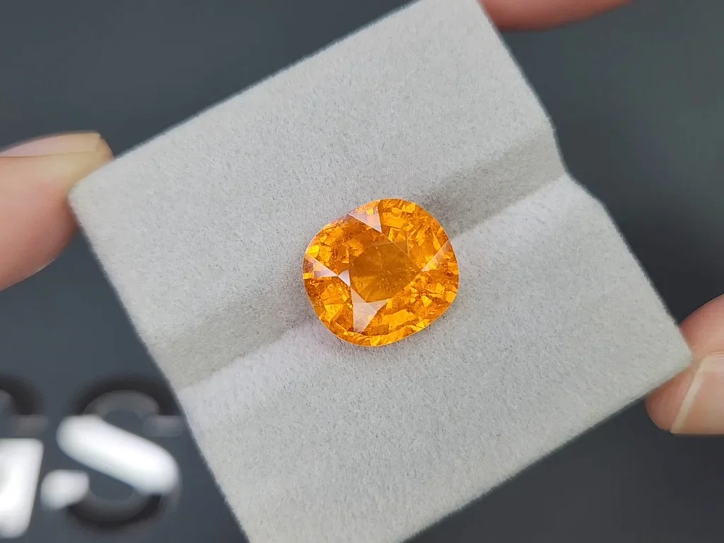 Top color spessartite garnet Fanta cushion cut 9.98ct, Africa Image №4