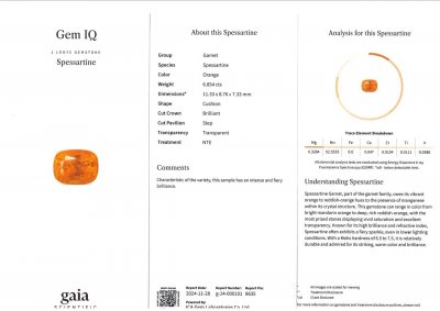 Certificate Top color spessartite garnet Fanta cushion cut 6.85ct, Africa