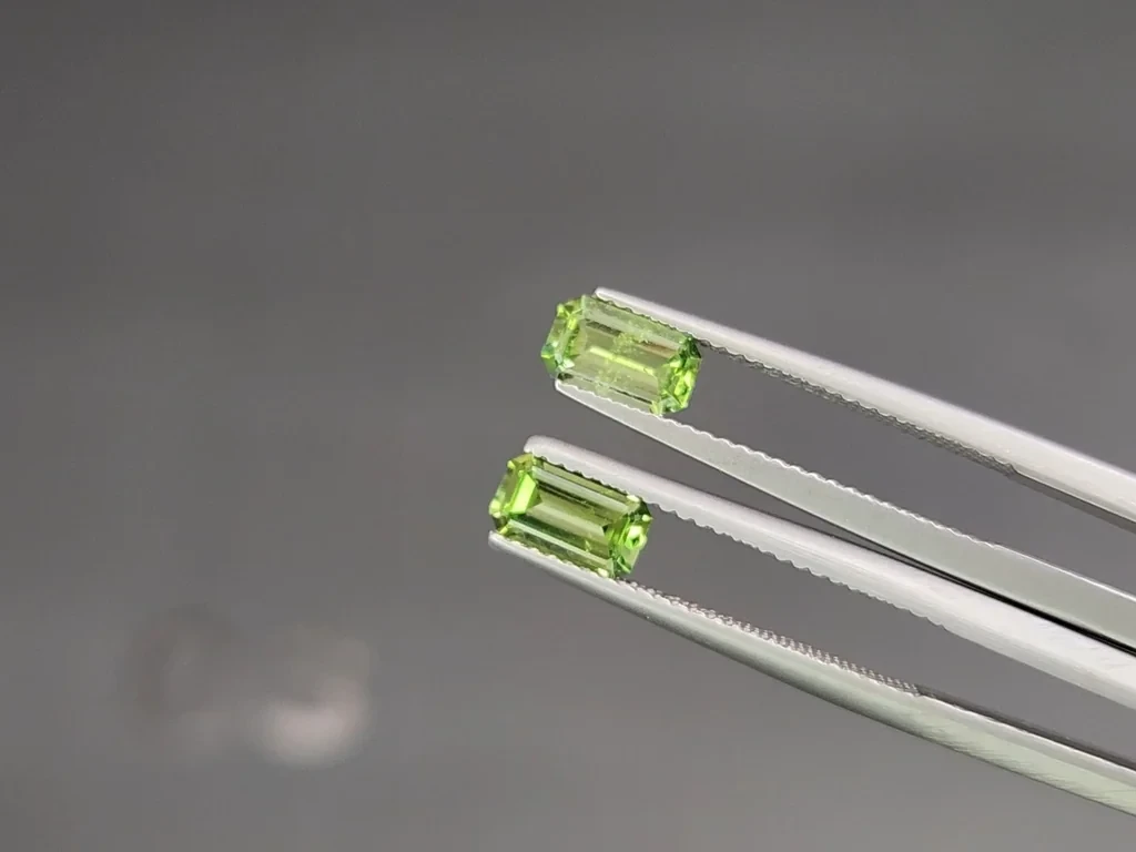 Pair of tsavorites octagon cut 1.41 carats, Madagascar Image №3