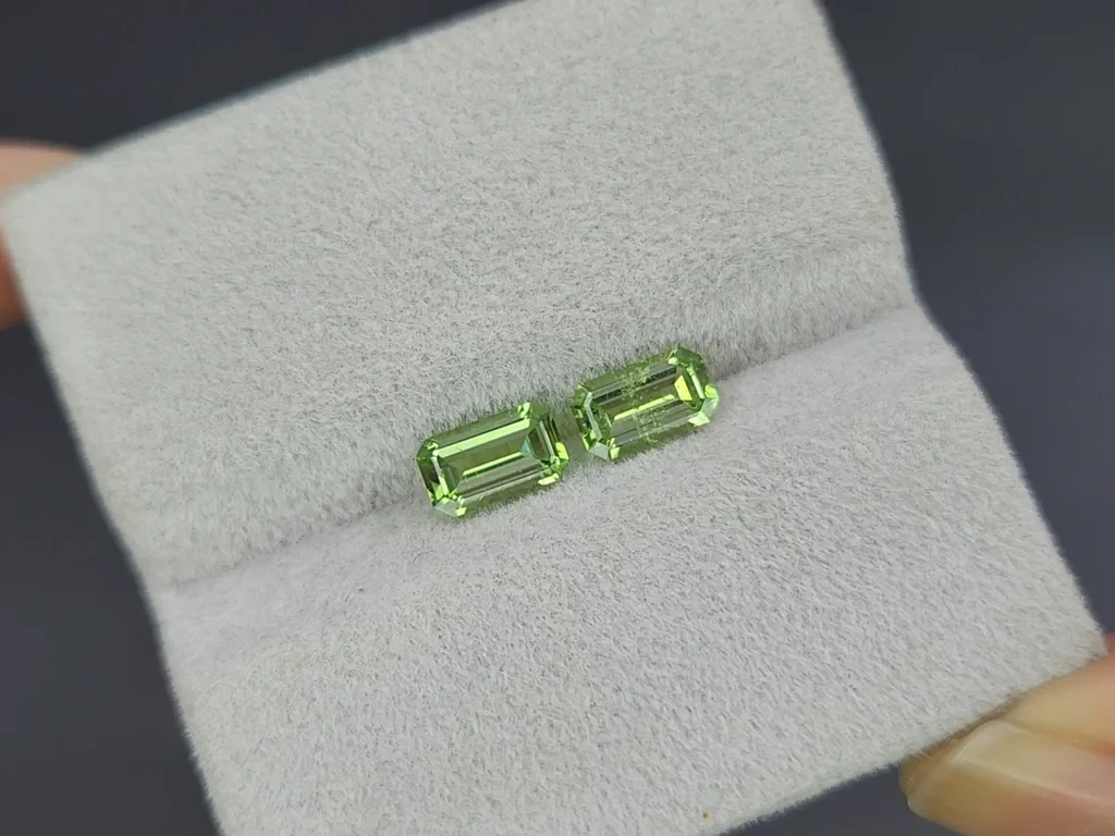 Pair of tsavorites octagon cut 1.41 carats, Madagascar Image №4