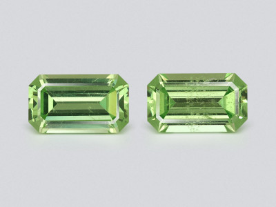 Pair of tsavorites octagon cut 1.41 carats, Madagascar photo