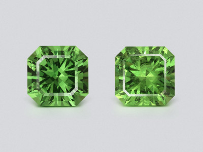 Pair of tsavorites radiant cut 1.43 carats, Madagascar photo