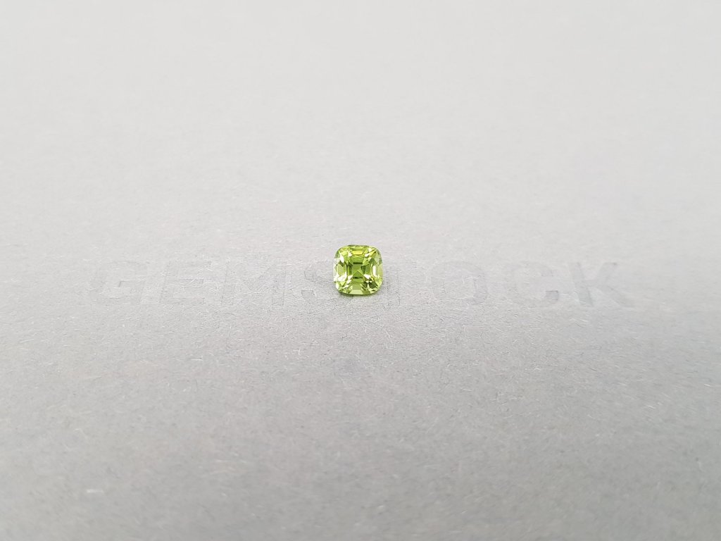Cushion cut tsavorite garnet 0.61 ct Image №2