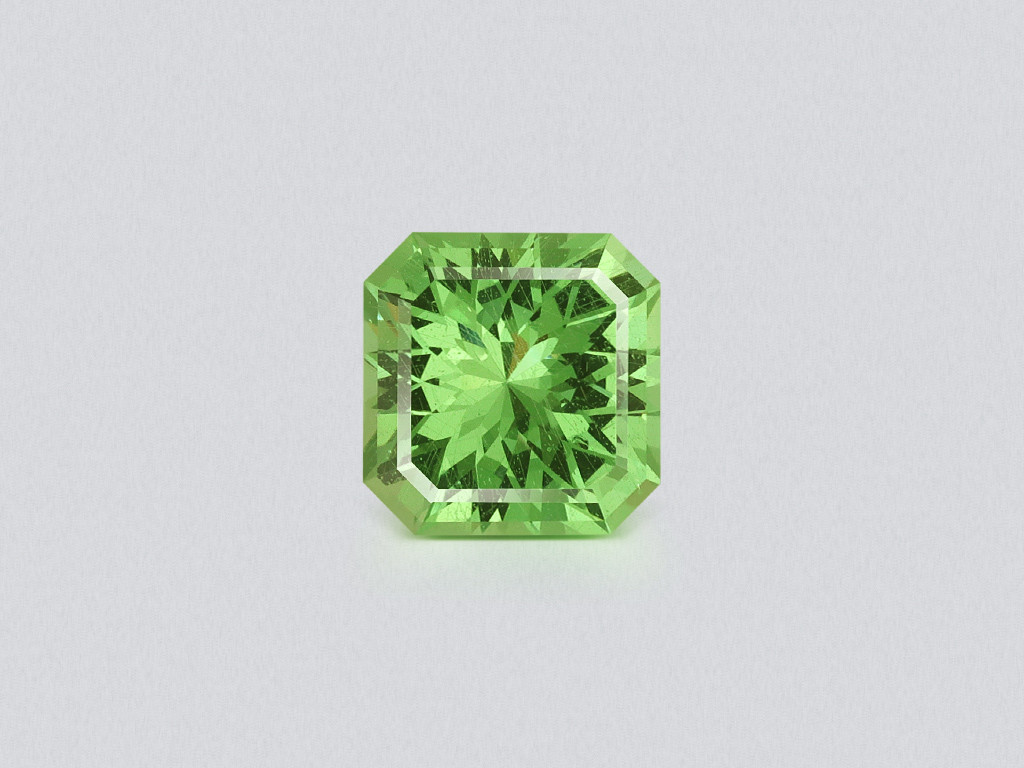Garnet tsavorite radiant cut 0.88 carats, Madagascar Image №1