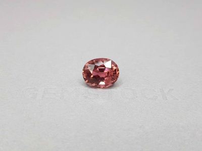 Rubellite oval cut 6.10 ct, Afghanistan photo
