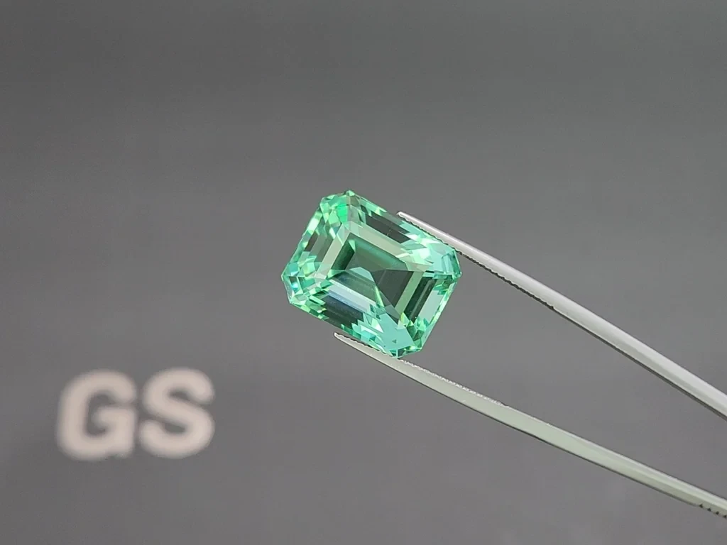 Unique Lagoon green beryl in octagon cut 22.34 carats, Nigeria Image №3