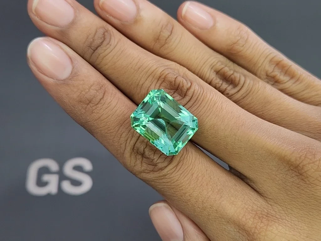 Unique Lagoon green beryl in octagon cut 22.34 carats, Nigeria Image №2