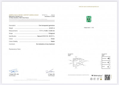 Certificate Unique Lagoon green beryl in octagon cut 22.34 carats, Nigeria