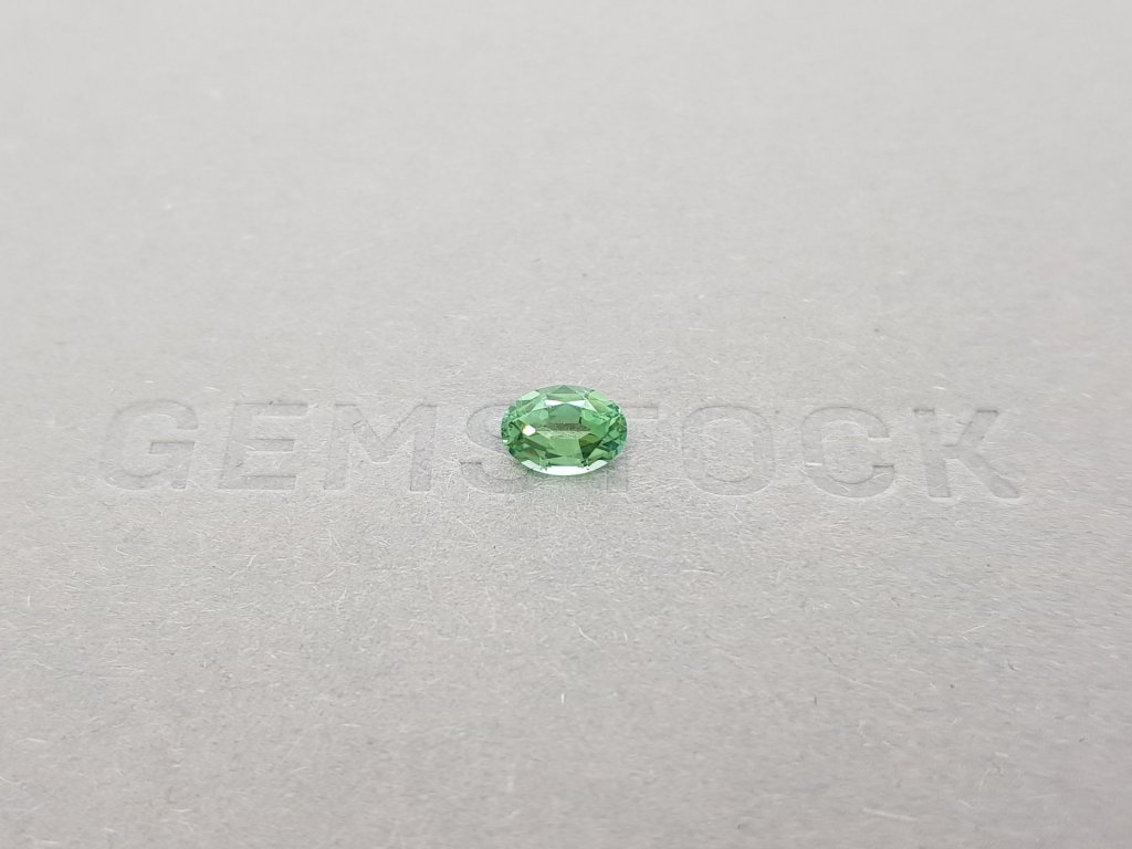 Tourmaline Verdel oval cut 0.70 ct, Afghanistan Image №1