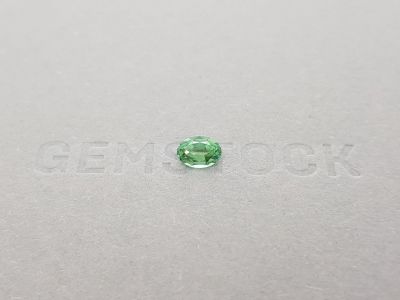 Tourmaline Verdel oval cut 0.70 ct, Afghanistan photo