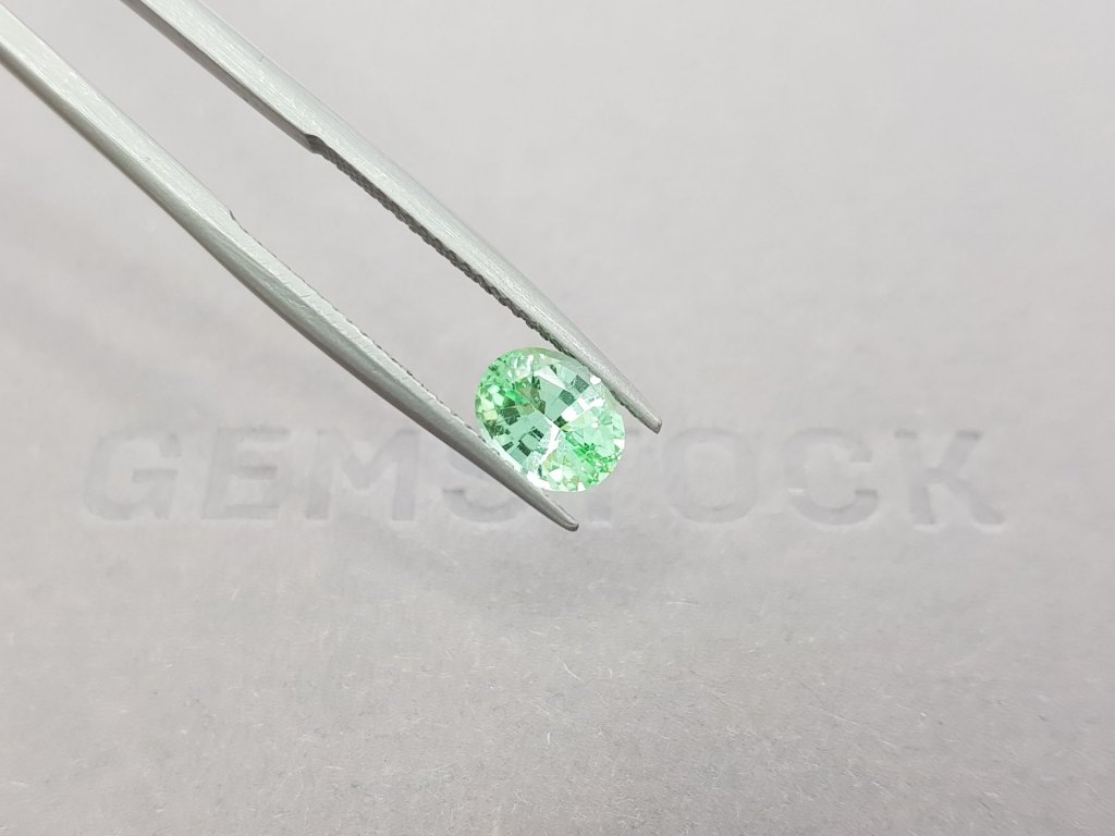 Green Paraiba tourmaline from Mozambique 1.13 ct, GFCO Image №5