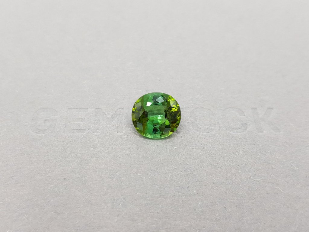 Intense yellowish green oval cut tourmaline 2.81 ct Image №1