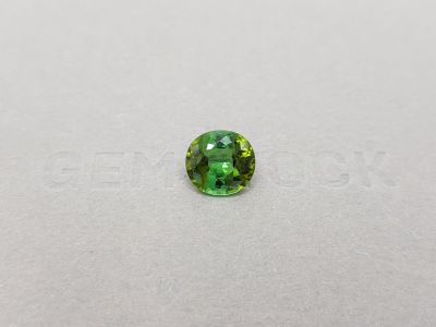 Intense yellowish green oval cut tourmaline 2.81 ct photo