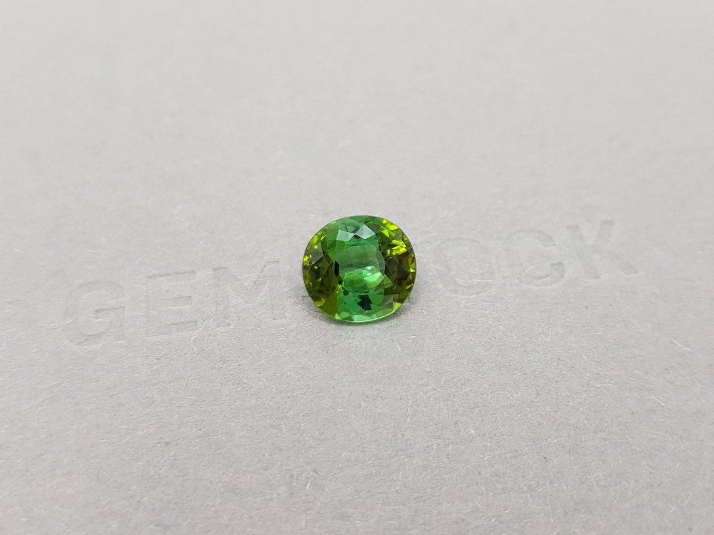 Intense yellowish green oval cut tourmaline 2.81 ct Image №2