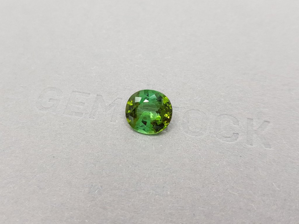Intense yellowish green oval cut tourmaline 2.81 ct Image №3