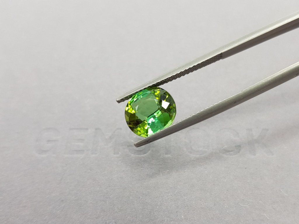 Intense yellowish green oval cut tourmaline 2.81 ct Image №4