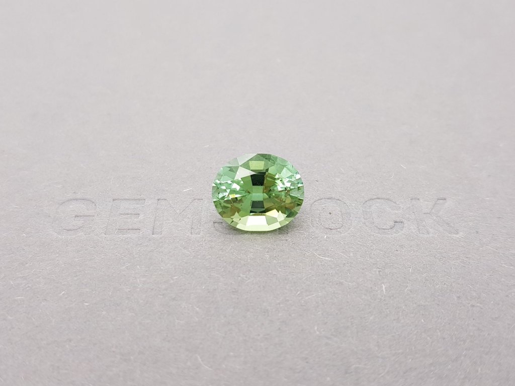 Green tourmaline oval cut 4.37 ct Image №1