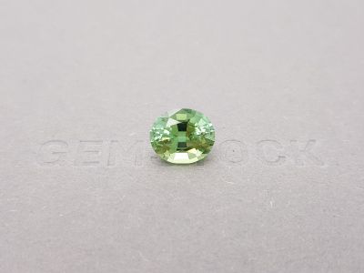 Green tourmaline oval cut 4.37 ct photo