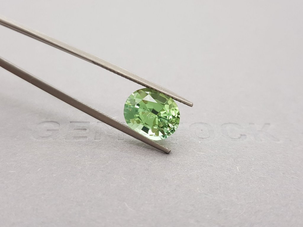Green tourmaline oval cut 4.37 ct Image №4