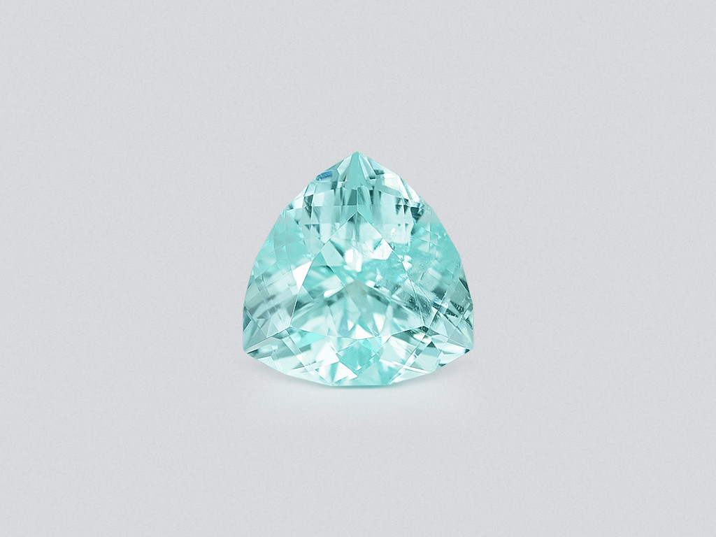 Green Paraiba tourmaline trillion cut 8.51 carats, Mozambique Image №1