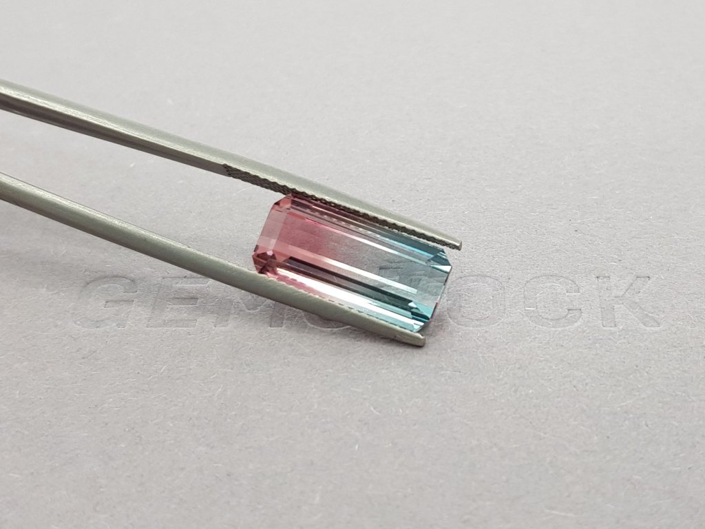 Octagon cut polychrome tourmaline 5.84 ct Image №4