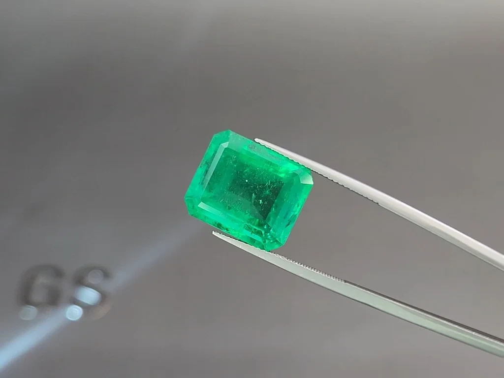 Emerald Vivid Green octagon cut 13.66 carats, Colombia Image №3