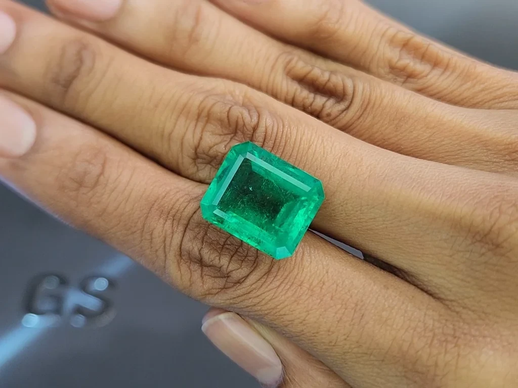 Emerald Vivid Green octagon cut 13.66 carats, Colombia Image №2